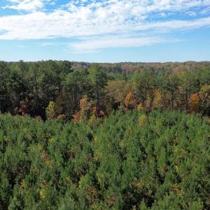 Photo #50 of TBA RIDGE RD, ARVONIA, VA 26.9 acres