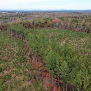 Photo #36 of TBA RIDGE RD, ARVONIA, VA 26.9 acres