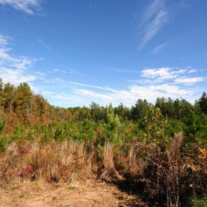 Photo #47 of TBA RIDGE RD, ARVONIA, VA 26.9 acres