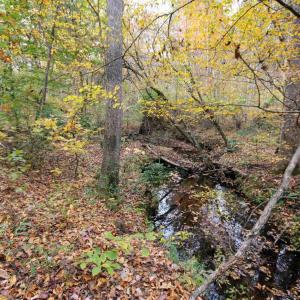 Photo #13 of TBA RIDGE RD, ARVONIA, VA 26.9 acres