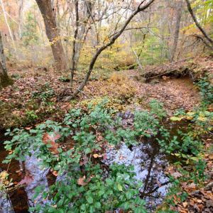 Photo #10 of TBA RIDGE RD, ARVONIA, VA 26.9 acres