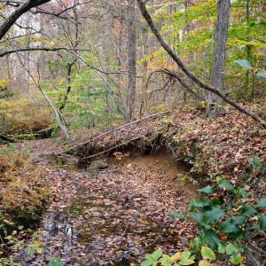 Photo #12 of TBA RIDGE RD, ARVONIA, VA 26.9 acres