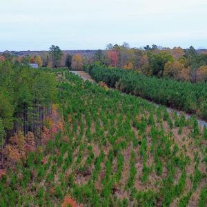 Photo #41 of TBA RIDGE RD, ARVONIA, VA 26.9 acres