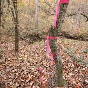 Photo #17 of TBA RIDGE RD, ARVONIA, VA 26.9 acres
