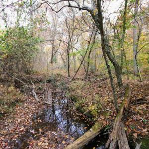 Photo #9 of TBA RIDGE RD, ARVONIA, VA 26.9 acres