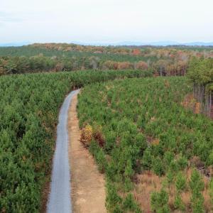 Photo #32 of TBA RIDGE RD, ARVONIA, VA 26.9 acres