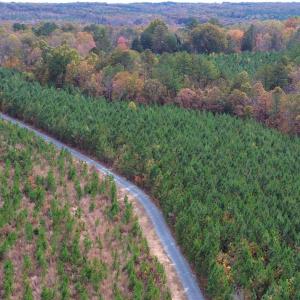 Photo #44 of TBA RIDGE RD, ARVONIA, VA 26.9 acres