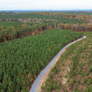 Photo #34 of TBA RIDGE RD, ARVONIA, VA 26.9 acres