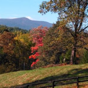 Photo #9 of TAYLOR CREEK RD, AFTON, VA 4.5 acres