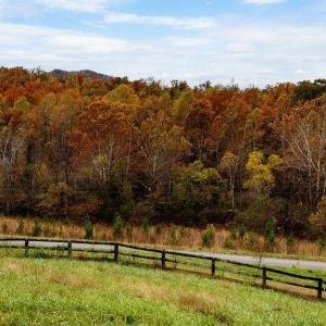 Photo #37 of TAYLOR CREEK RD, AFTON, VA 4.5 acres