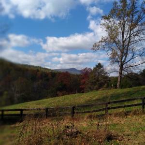 Photo #11 of TAYLOR CREEK RD, AFTON, VA 4.5 acres