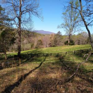 Photo #20 of TAYLOR CREEK RD, AFTON, VA 4.5 acres