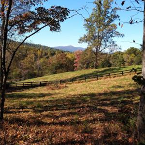 Photo #8 of TAYLOR CREEK RD, AFTON, VA 4.5 acres