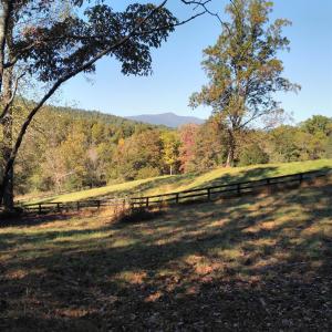 Photo #6 of TAYLOR CREEK RD, AFTON, VA 4.5 acres