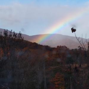 Photo #12 of TAYLOR CREEK RD, AFTON, VA 4.5 acres