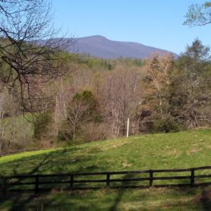 Photo #21 of TAYLOR CREEK RD, AFTON, VA 4.5 acres