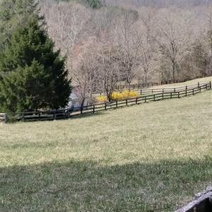 Photo #23 of TAYLOR CREEK RD, AFTON, VA 4.5 acres
