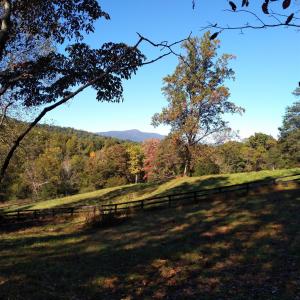 Photo #7 of TAYLOR CREEK RD, AFTON, VA 4.5 acres