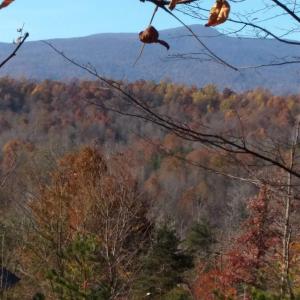 Photo #13 of TAYLOR CREEK RD, AFTON, VA 4.5 acres