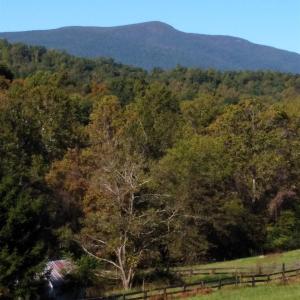 Photo #3 of TAYLOR CREEK RD, AFTON, VA 4.5 acres