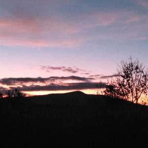 Photo #17 of TAYLOR CREEK RD, AFTON, VA 4.5 acres