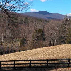 Photo #14 of TAYLOR CREEK RD, AFTON, VA 4.5 acres