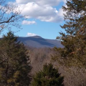 Photo #15 of TAYLOR CREEK RD, AFTON, VA 4.5 acres