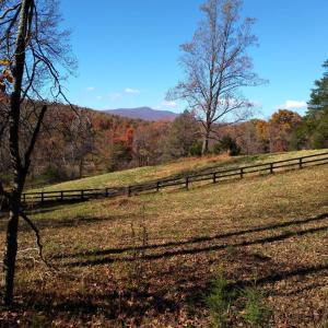 Photo #18 of TAYLOR CREEK RD, AFTON, VA 4.5 acres