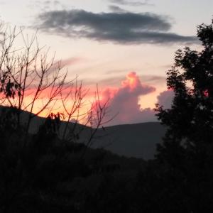 Photo #5 of TAYLOR CREEK RD, AFTON, VA 4.5 acres