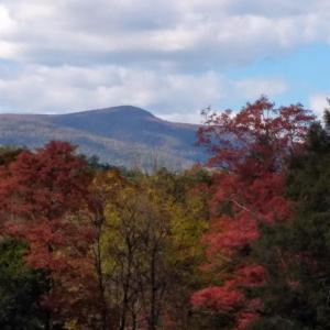 Photo #10 of TAYLOR CREEK RD, AFTON, VA 4.5 acres