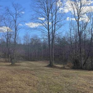 Photo #3 of Lot C SYCAMORE LN, RUCKERSVILLE, VA 10.3 acres