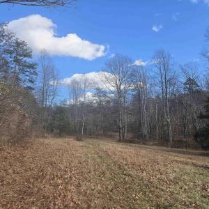 Photo #1 of Lot C SYCAMORE LN, RUCKERSVILLE, VA 10.3 acres
