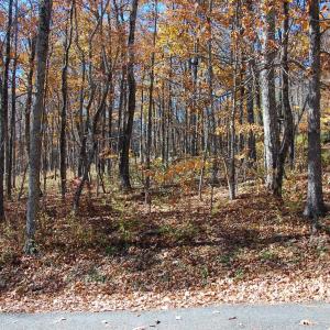 Photo #2 of 24 WHITE OAK LN, WINTERGREEN RESORT, VA 0.6 acres