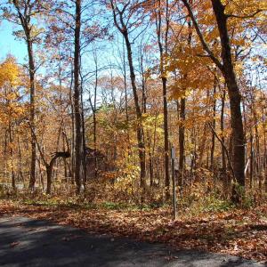 Photo #3 of 24 WHITE OAK LN, WINTERGREEN RESORT, VA 0.6 acres