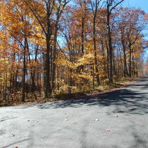 Photo #1 of 24 WHITE OAK LN, WINTERGREEN RESORT, VA 0.6 acres