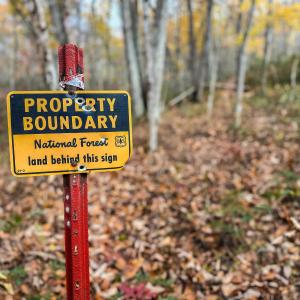 Photo #3 of TBD INCH RUN LN, LYNDHURST, VA 54.0 acres