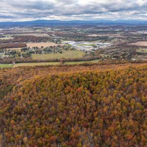 Photo #29 of TBD INCH RUN LN, LYNDHURST, VA 54.0 acres