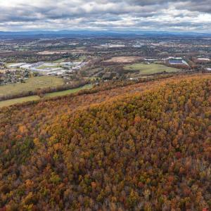 Photo #28 of TBD INCH RUN LN, LYNDHURST, VA 54.0 acres