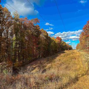 Photo #21 of TBD INCH RUN LN, LYNDHURST, VA 54.0 acres