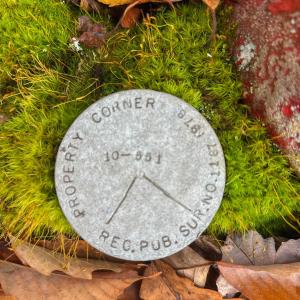 Photo #32 of TBD INCH RUN LN, LYNDHURST, VA 54.0 acres