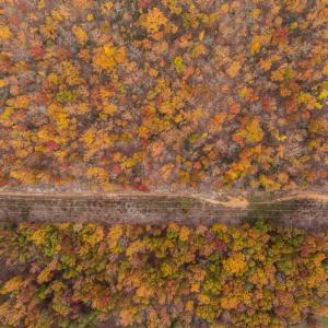 Photo #22 of TBD INCH RUN LN, LYNDHURST, VA 54.0 acres