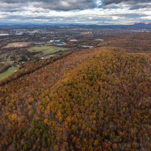 Photo #27 of TBD INCH RUN LN, LYNDHURST, VA 54.0 acres