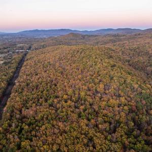 Photo #48 of TBD INCH RUN LN, LYNDHURST, VA 54.0 acres