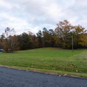Photo #6 of TBD INCH RUN LN, LYNDHURST, VA 54.0 acres
