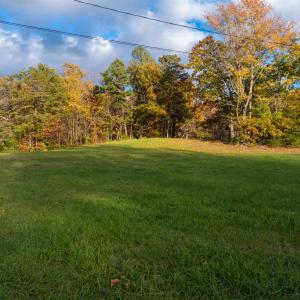 Photo #7 of TBD INCH RUN LN, LYNDHURST, VA 54.0 acres