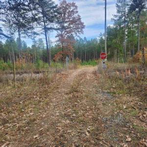 Photo #1 of JOHNSON RD, MINERAL, VA 213.3 acres