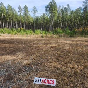 Photo #2 of JOHNSON RD, MINERAL, VA 213.3 acres