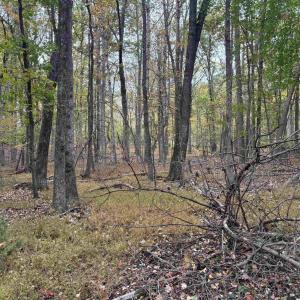 Photo #2 of SAINT JOHN RD, GORDONSVILLE, VA 5.7 acres