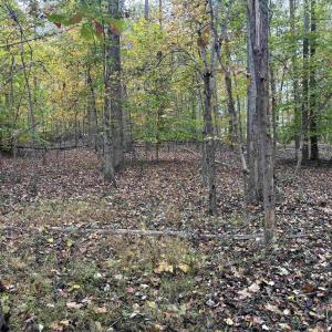 Photo #1 of SAINT JOHN RD, GORDONSVILLE, VA 5.7 acres