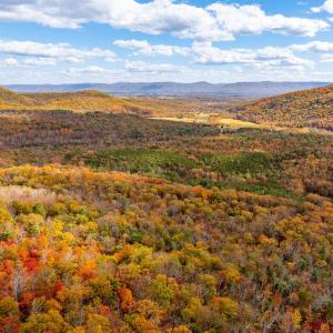 Photo #8 of BETHANY CHURCH LN, EDINBURG, VA 134.4 acres